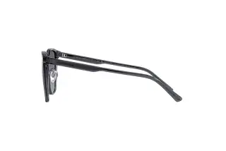 Seitenansicht Emporio Armani EA4206D (5029T3)