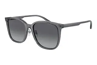 Emporio Armani EA4206D 5029T3