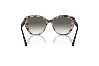 Rückansicht Emporio Armani EA4214U (605811)