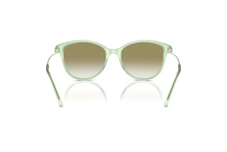 Rückansicht Emporio Armani EA4220 (61078E)