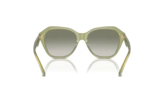 Rückansicht Emporio Armani EA4221 (61168E)