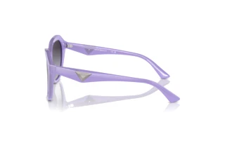 Seitenansicht Emporio Armani EA4221 (61178G)