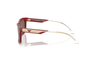 Seitenansicht Emporio Armani EA4224 (609373)