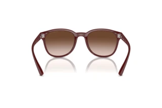Rückansicht Emporio Armani EA4225U (610113)