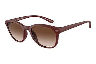 Vorderansicht Emporio Armani EA4225U (610113)