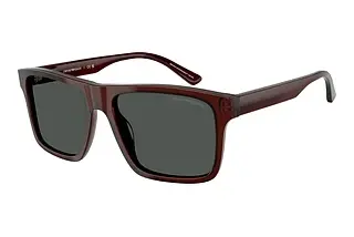 Emporio Armani EA4232 617487 SmokeTransparent Brown