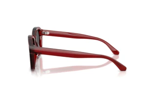 Seitenansicht Emporio Armani EA4245U (624887)