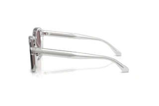 Seitenansicht Emporio Armani EA4245U (62507N)