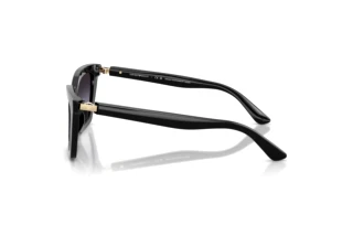 Seitenansicht Emporio Armani EA4250U (50178G)