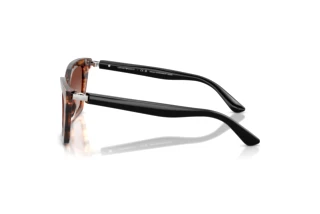 Seitenansicht Emporio Armani EA4250U (626613)