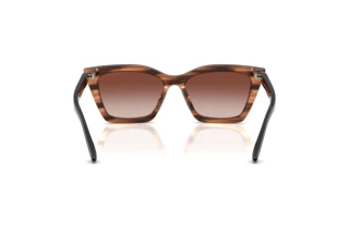 Rückansicht Emporio Armani EA4250U (626613)