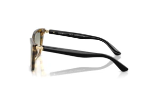 Seitenansicht Emporio Armani EA4250U (62672C)