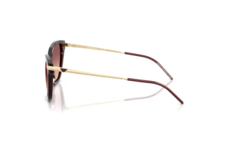 Seitenansicht Emporio Armani EA4251 (62658D)