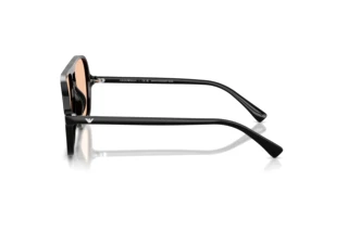 Seitenansicht Emporio Armani EA4252U (501793)