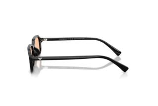 Seitenansicht Emporio Armani EA4253U (501793)