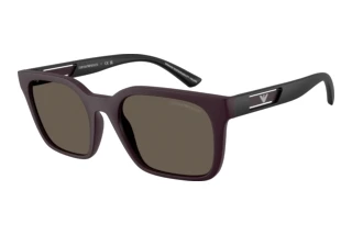 Vorderansicht Emporio Armani EA4269 (6371/3)