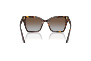 Rückansicht Emporio Armani EA4273BU (502689)