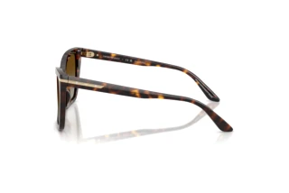 Seitenansicht Emporio Armani EA4273BU (5026T5)