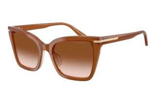 Vorderansicht Emporio Armani EA4273BU (637613)