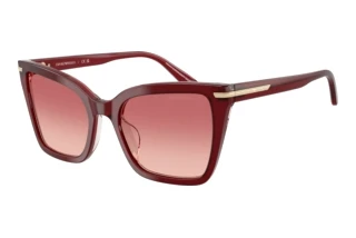 Vorderansicht Emporio Armani EA4273BU (6377A5)