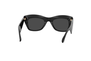 Rückansicht Etro ETRO 0004/G/S (807/IR)