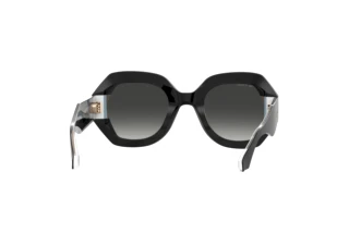 Rückansicht Etro ETRO 0009/S (807/9O)