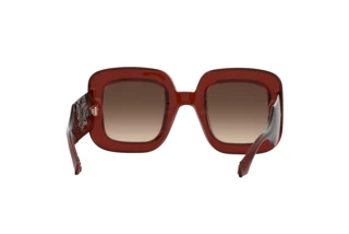 Rückansicht Etro ETRO 0015/S (2LF/HA)