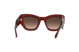 Rückansicht Etro ETRO 0017/S (2LF/HA)