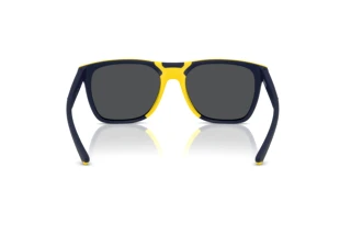 Rückansicht Ferrari Scuderia FZ6013D (509/55)