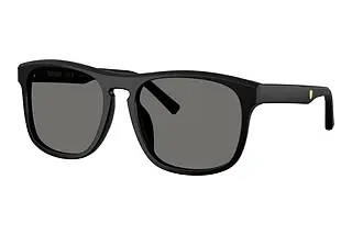 Ferrari Scuderia FZ6020U 701/81 Polar Dark GreyBlack Matte/Black