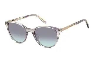 Fossil FOS 2154/S G3I/IB GREY GREENVIOLETT