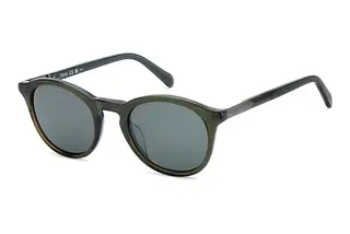 Fossil FOS 2161/S 3LG/QT GREENBRAUN