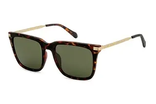 Fossil FOS 3152/G/S N9P/QT GREENHAVANNA