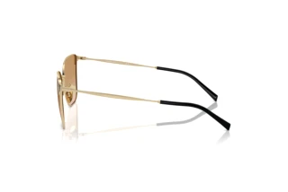 Seitenansicht Giorgio Armani AR6155 (301313)