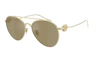Giorgio Armani AR 6167 30130W