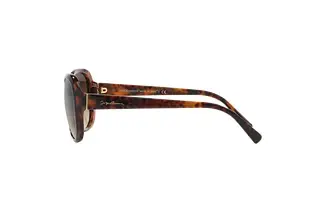 Seitenansicht Giorgio Armani AR8047 (504913)
