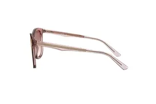 Seitenansicht Giorgio Armani AR8136 (58216F)