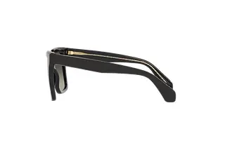 Seitenansicht Giorgio Armani AR8156 (587571)