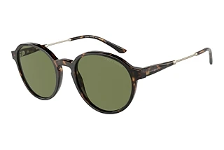 Vorderansicht Giorgio Armani AR8160 (50262A)