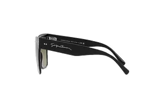Seitenansicht Giorgio Armani AR8175 (50018E)