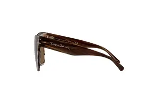 Seitenansicht Giorgio Armani AR8175 (595473)