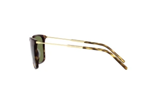 Seitenansicht Giorgio Armani AR8176 (50262A)