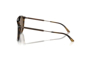 Seitenansicht Giorgio Armani AR8198 (603773)