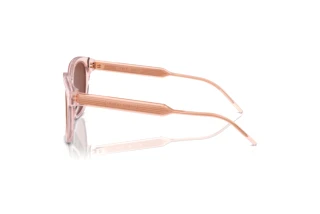 Seitenansicht Giorgio Armani AR8210U (6073C5)