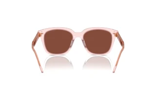 Rückansicht Giorgio Armani AR8210U (6073C5)