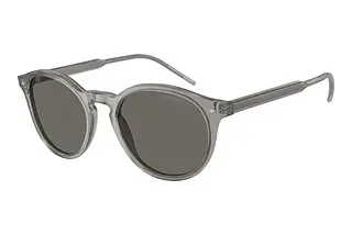 Giorgio Armani AR8211 6070R5