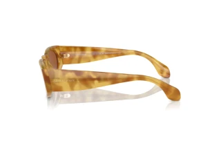 Seitenansicht Giorgio Armani AR8216 (597973)