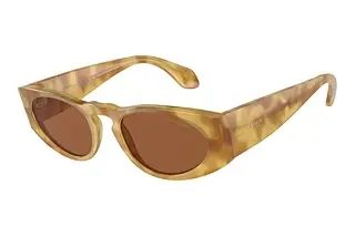 Giorgio Armani AR 8216 597973