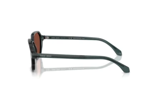 Seitenansicht Giorgio Armani AR8220 (6171C5)