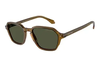 Giorgio Armani AR8220 617231